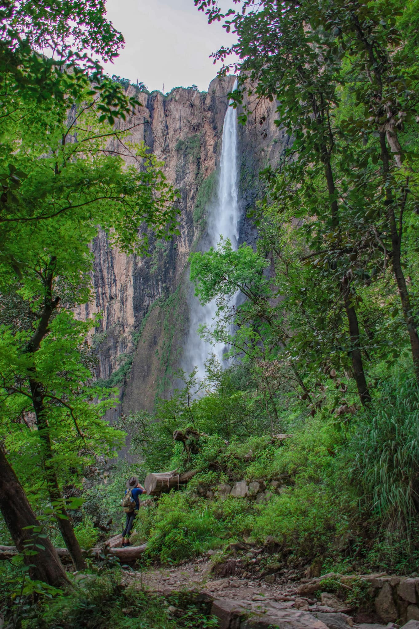 Mirador de la Ventana - Vista panorámica de la cascada desde Chihuahua
